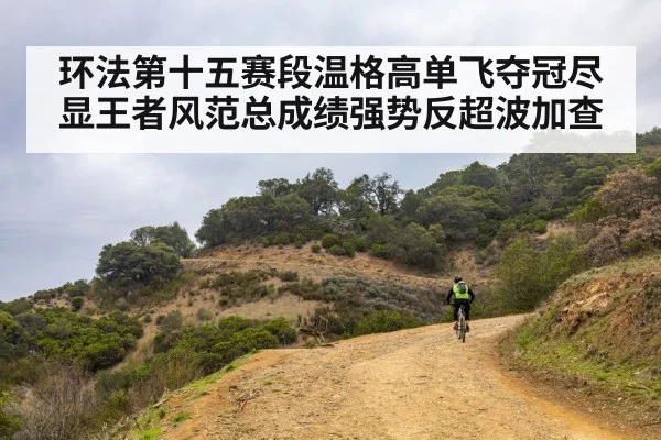 环法第十五赛段温格高单飞夺冠尽显王者风范总成绩强势反超波加查