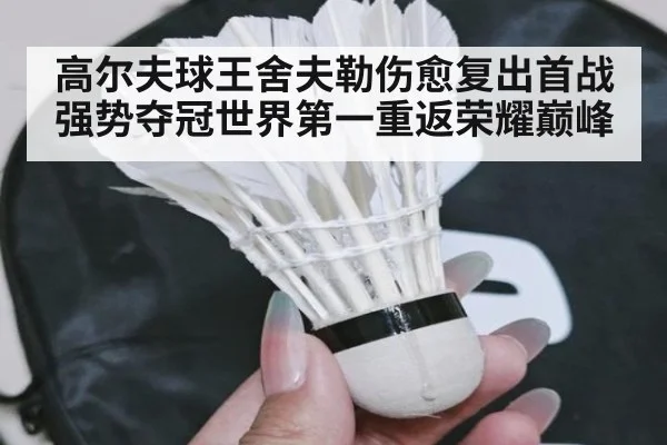 高尔夫球王舍夫勒伤愈复出首战强势夺冠世界第一重返荣耀巅峰
